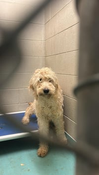 Chloe Feb 26 - Photo 15