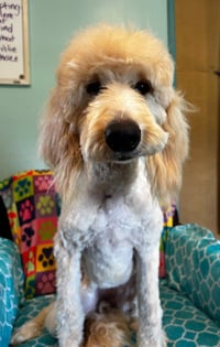 Chloe Feb 26 - Photo 3