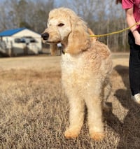 Chloe Feb 26 - Photo 4