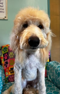 Chloe Feb 26 - Photo 5