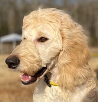 Chloe Feb 26 - Photo 6