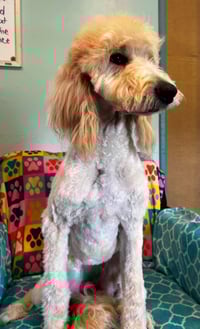 Chloe Feb 26 - Photo 7