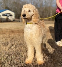 Chloe Feb 26 - Photo 8