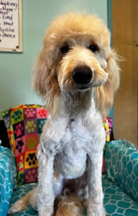 Chloe Feb 26 - Photo 9