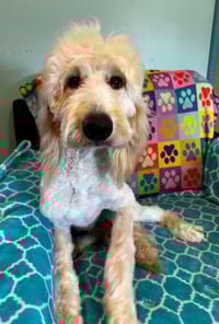 Chloe Feb 26 - Photo 10