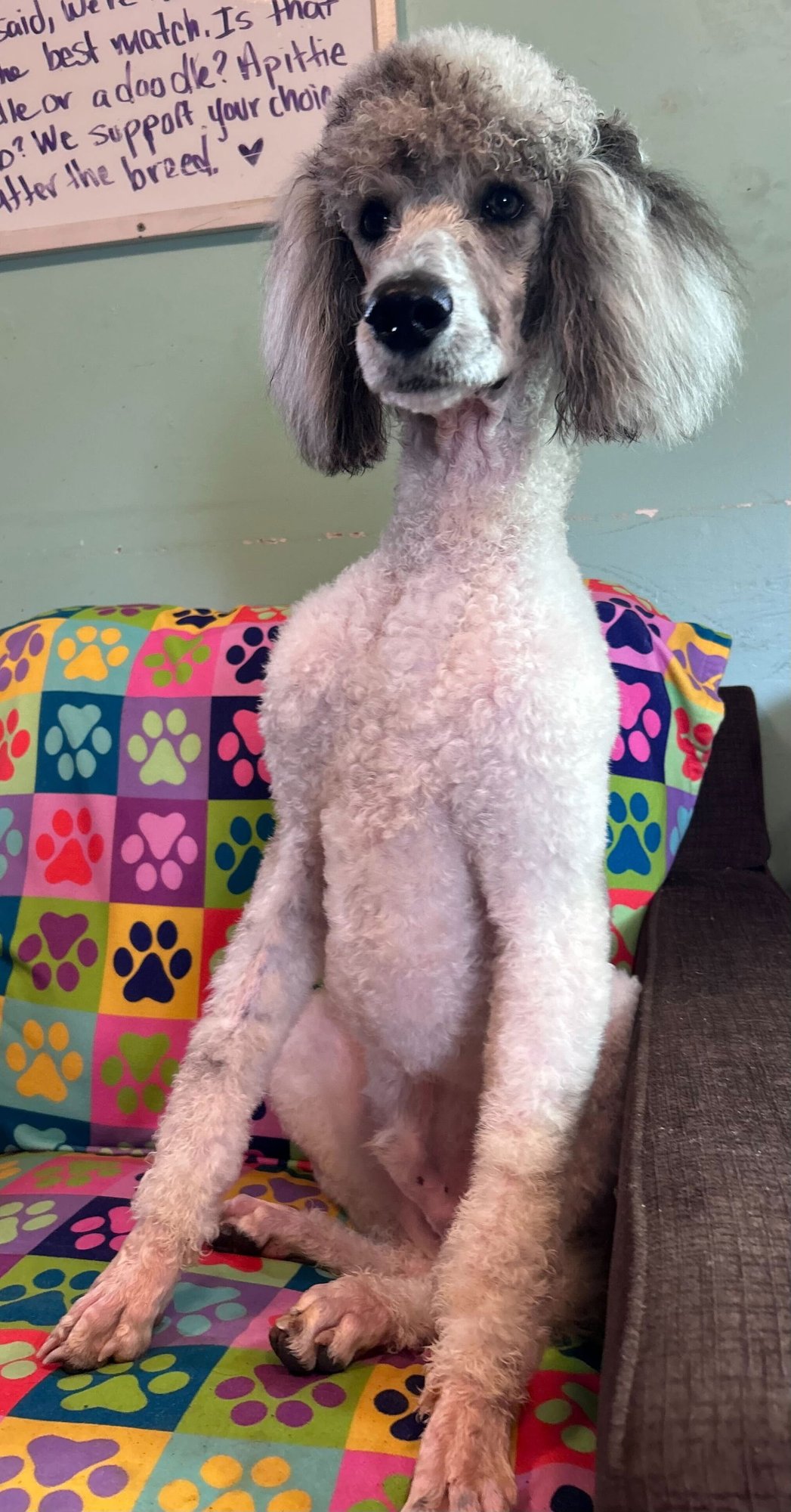 Trevor Feb 26 - Photo 3