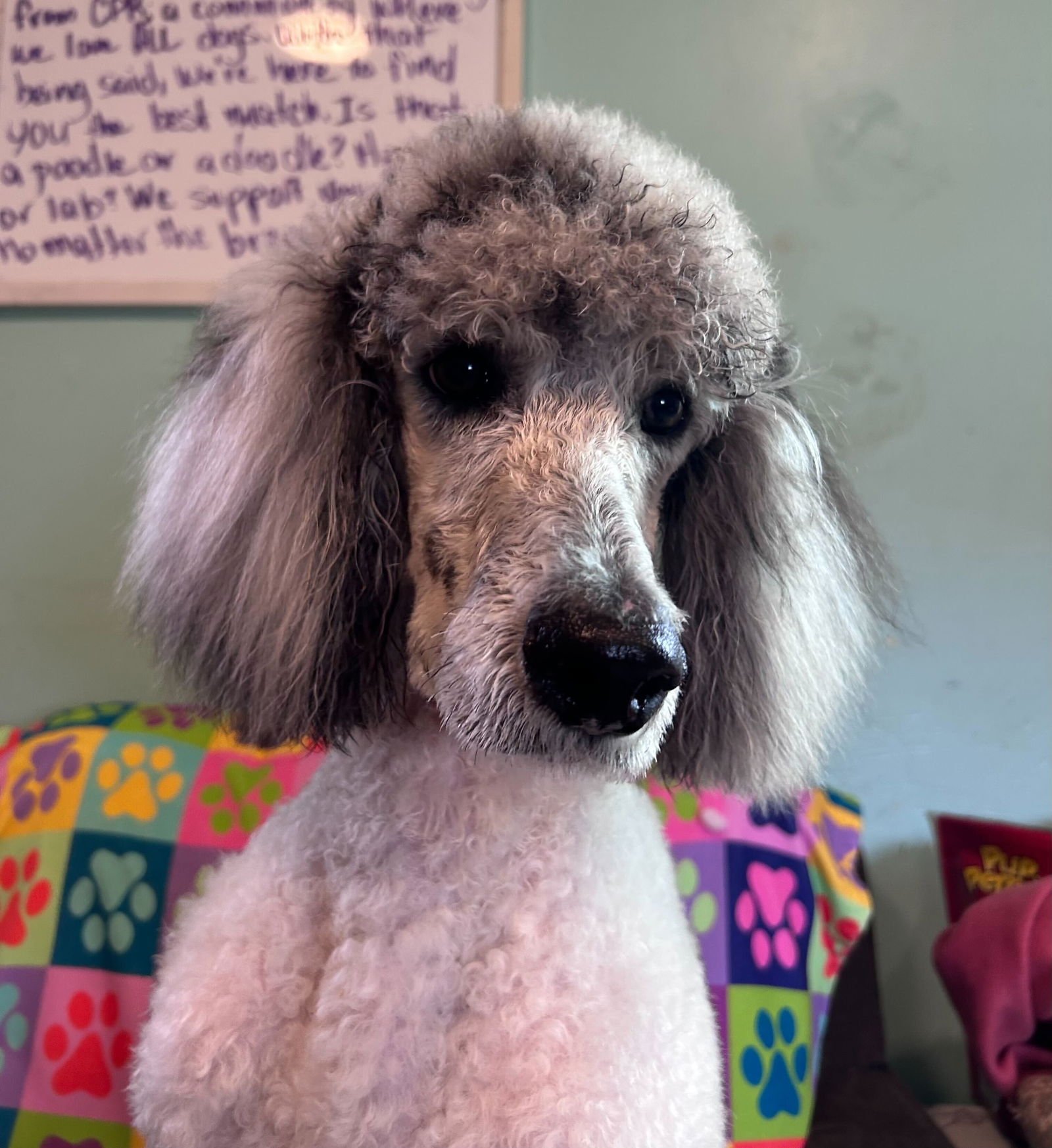 Trevor Feb 26 - Photo 4