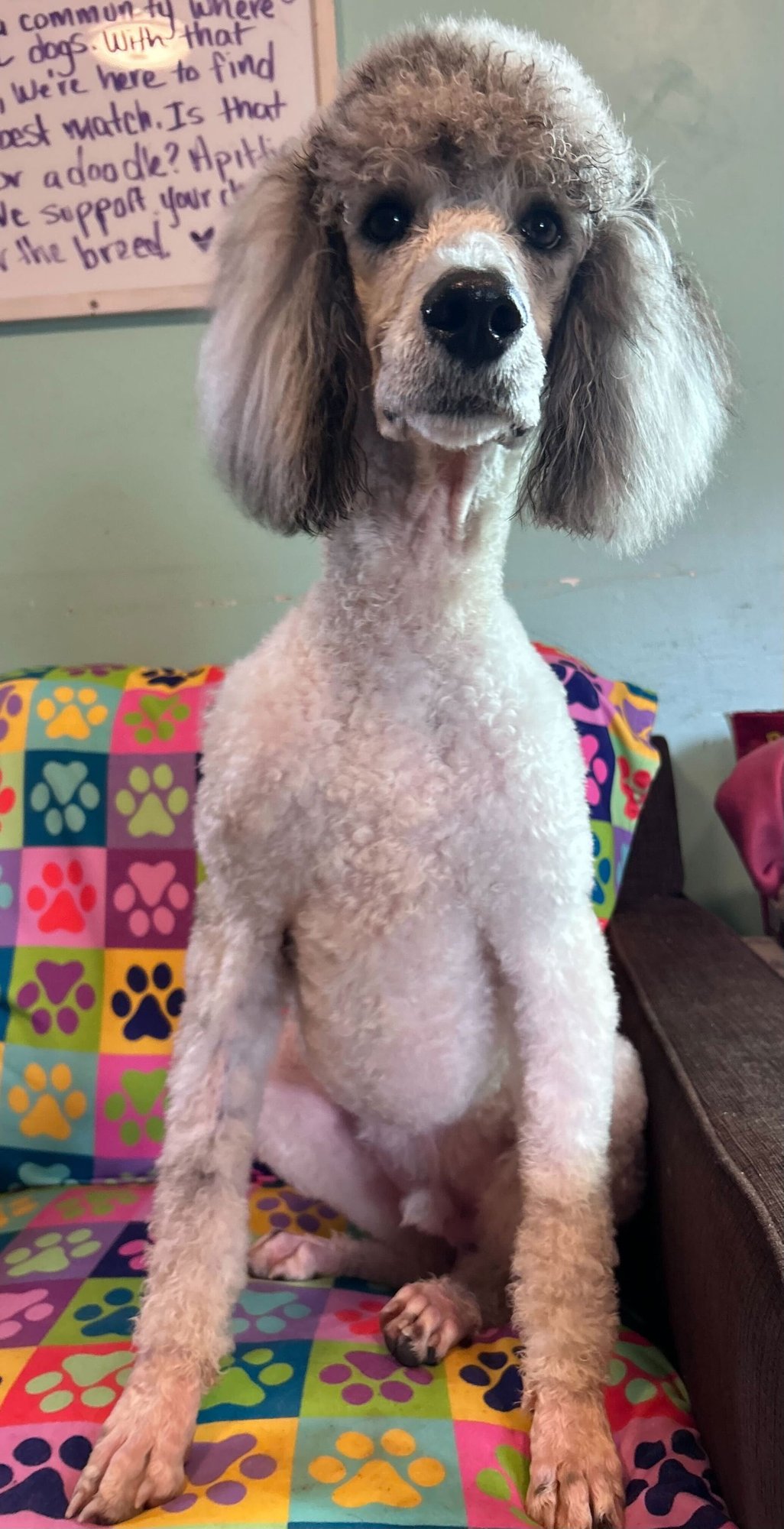 Trevor Feb 26 - Photo 5