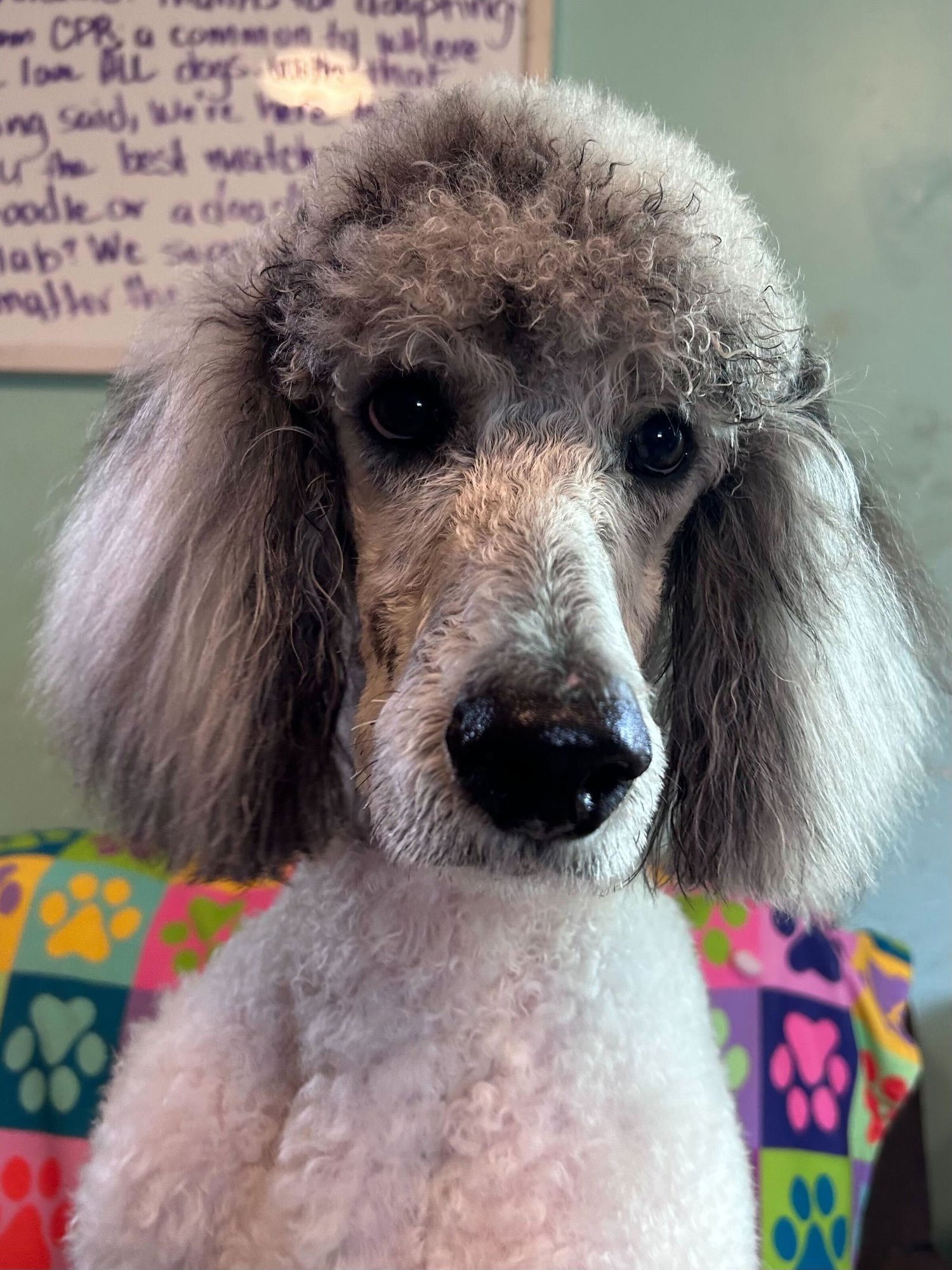 Trevor Feb 26 - Photo 6