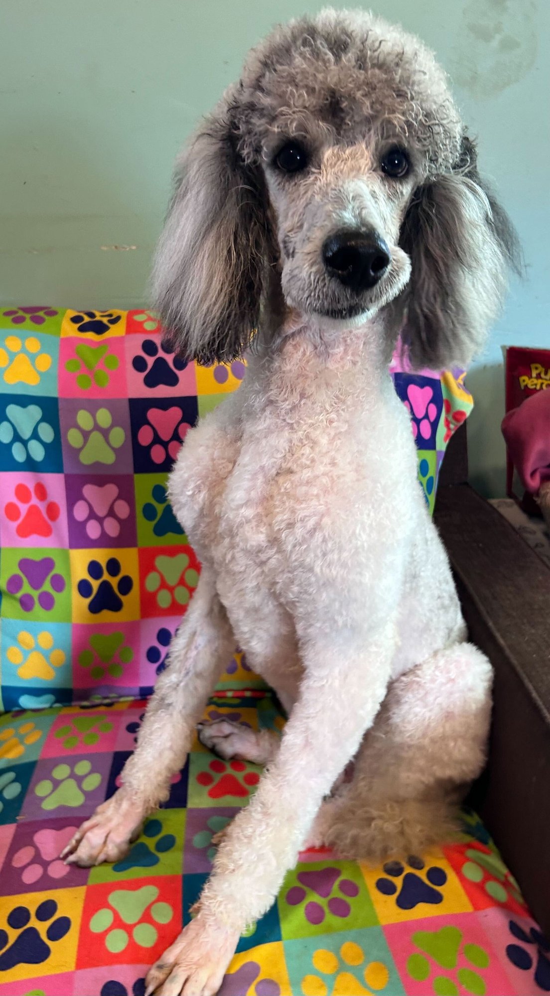 Trevor Feb 26 - Photo 7