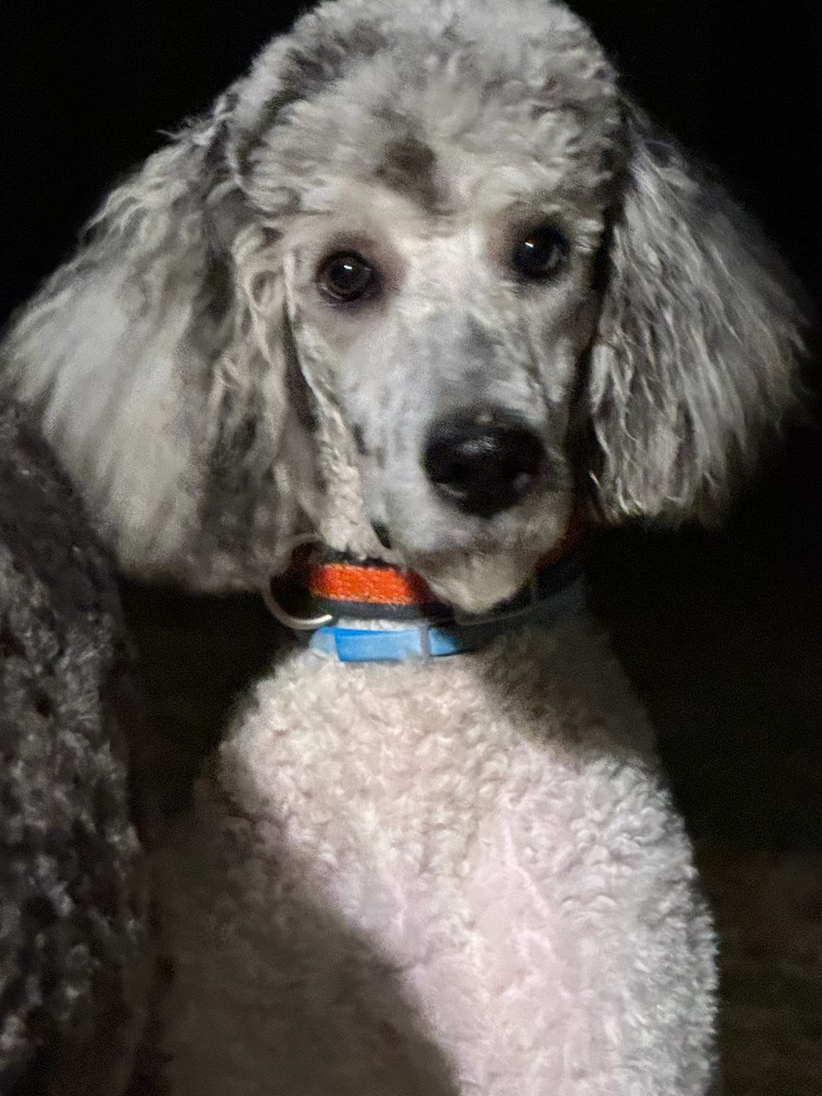 Trevor Feb 26 - Photo 8