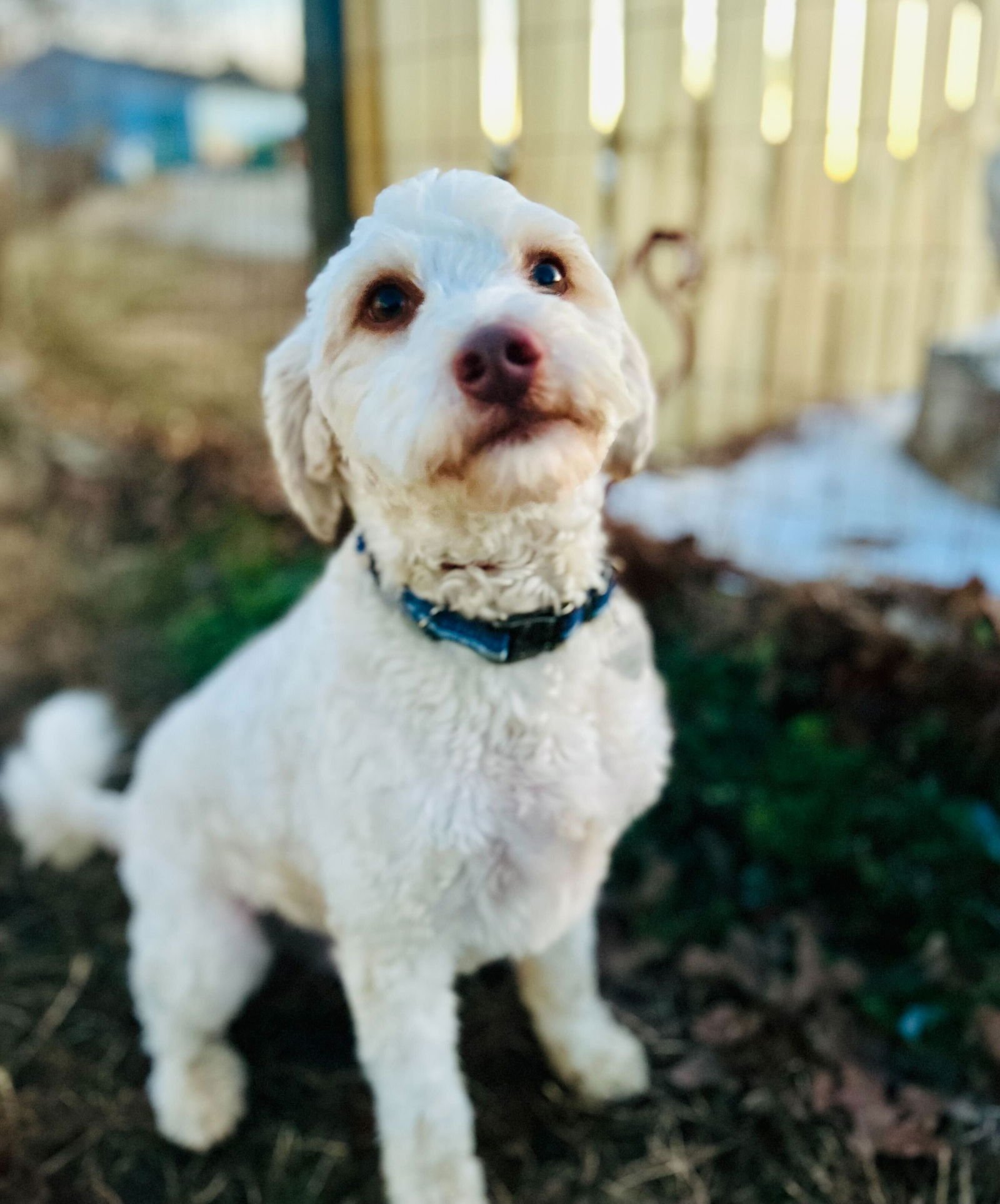 Dewey Oct 25 - Photo 3