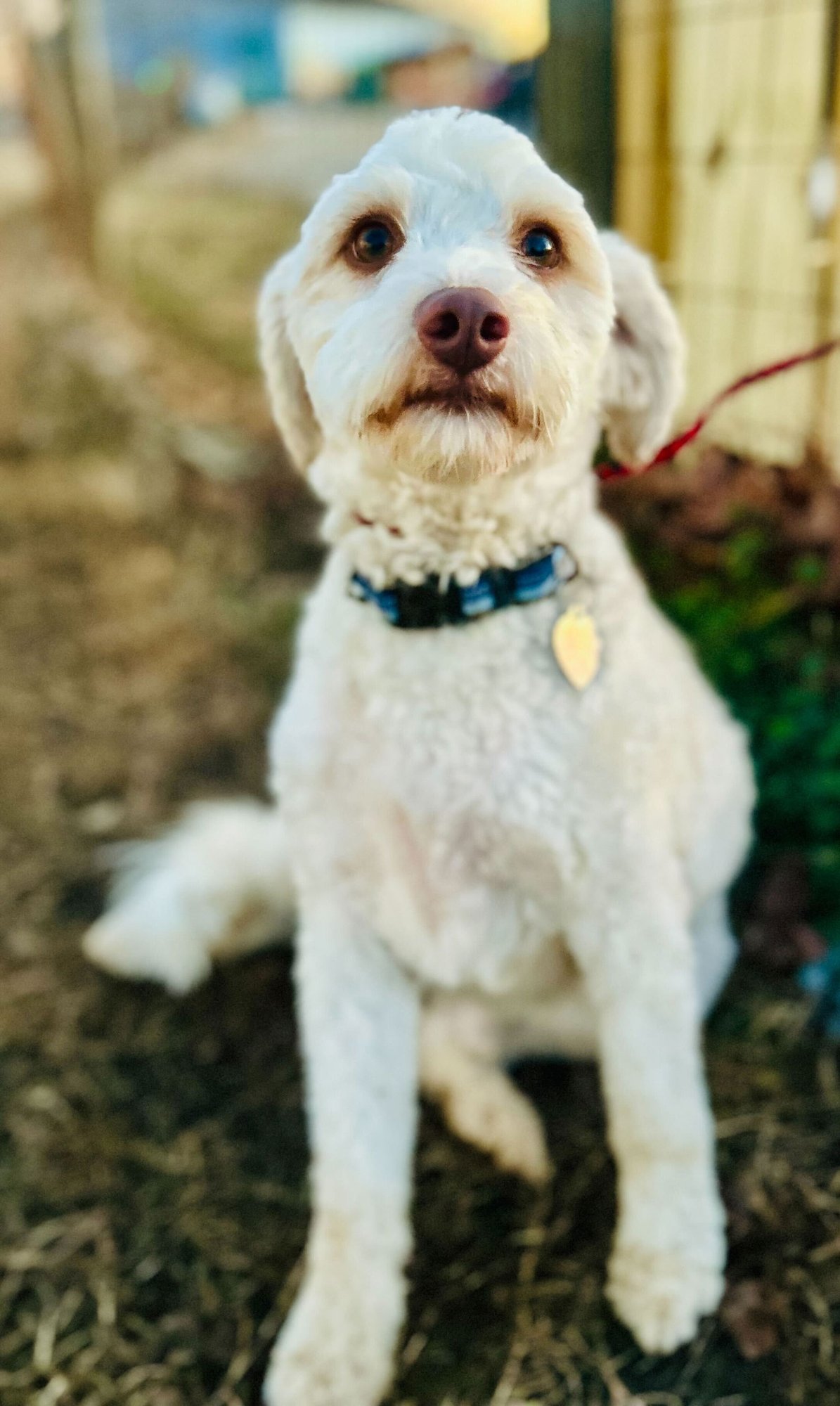 Dewey Oct 25 - Photo 4