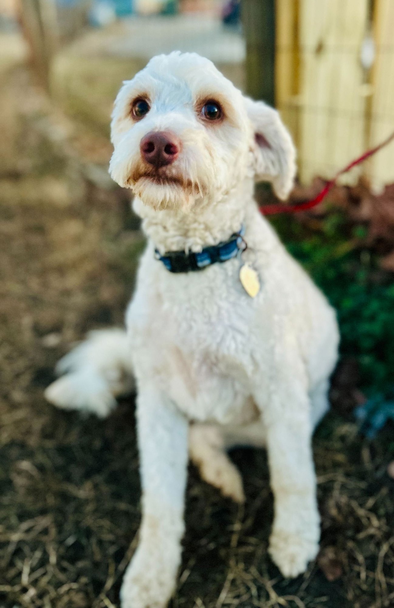 Dewey Oct 25 - Photo 5