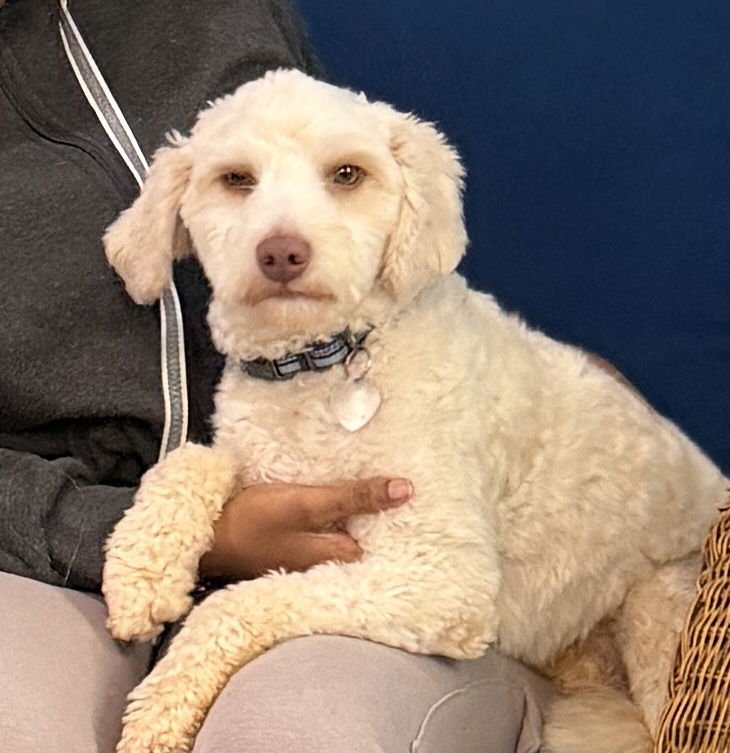 Dewey Oct 25 - Photo 8