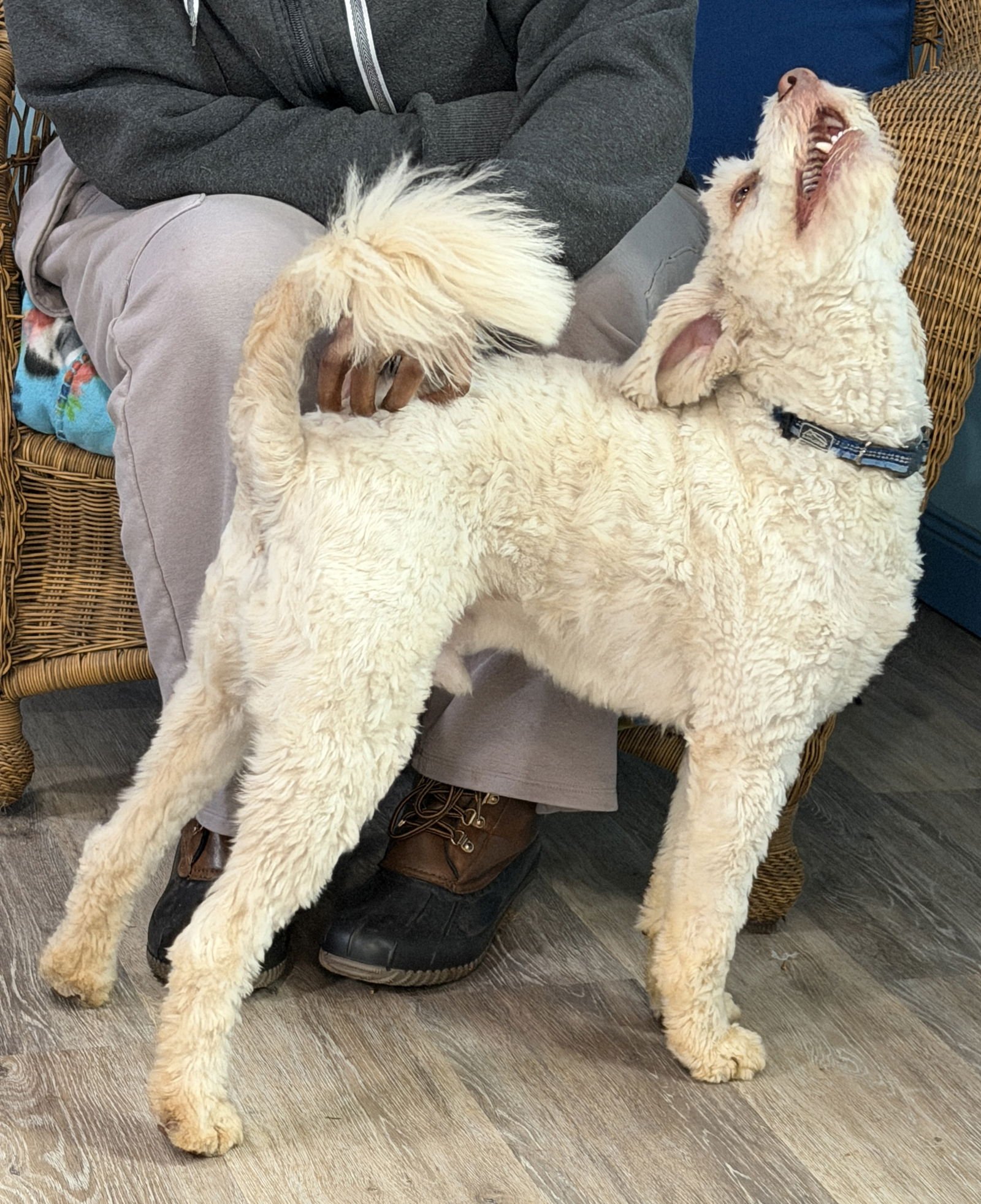 Dewey Oct 25 - Photo 9