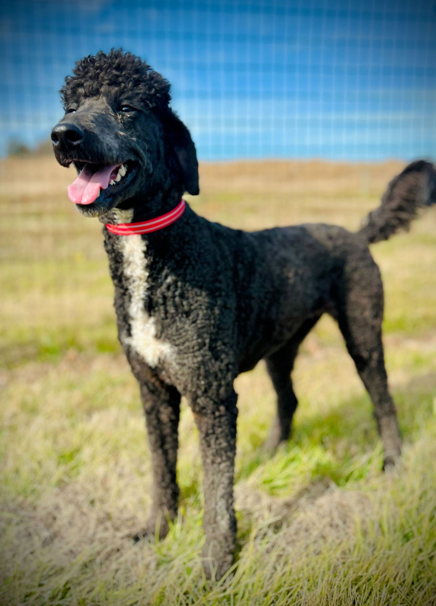 Bonnie Mae Dec 25 - Photo 3