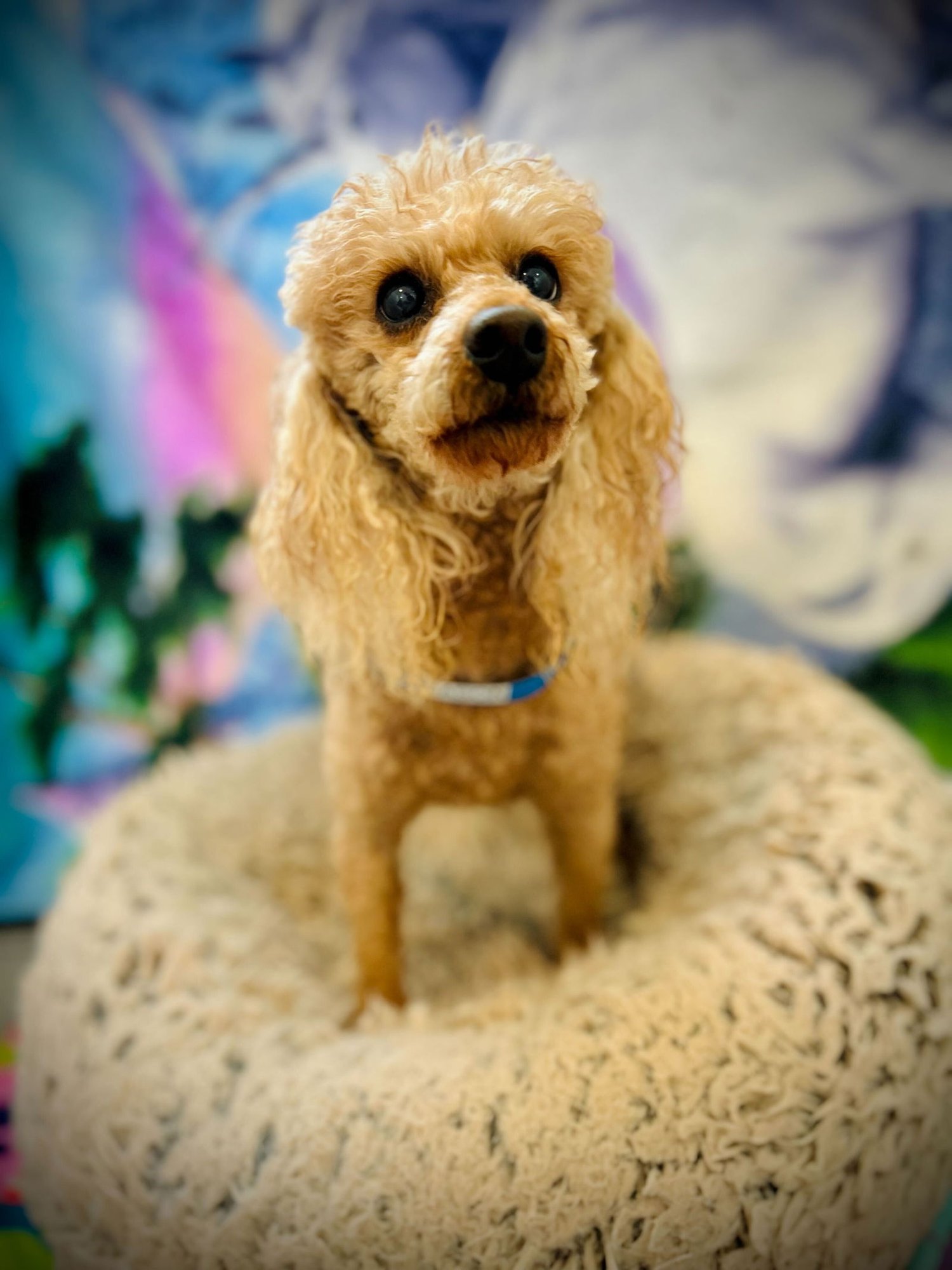 Mason Russell Dec 25 - Photo 3