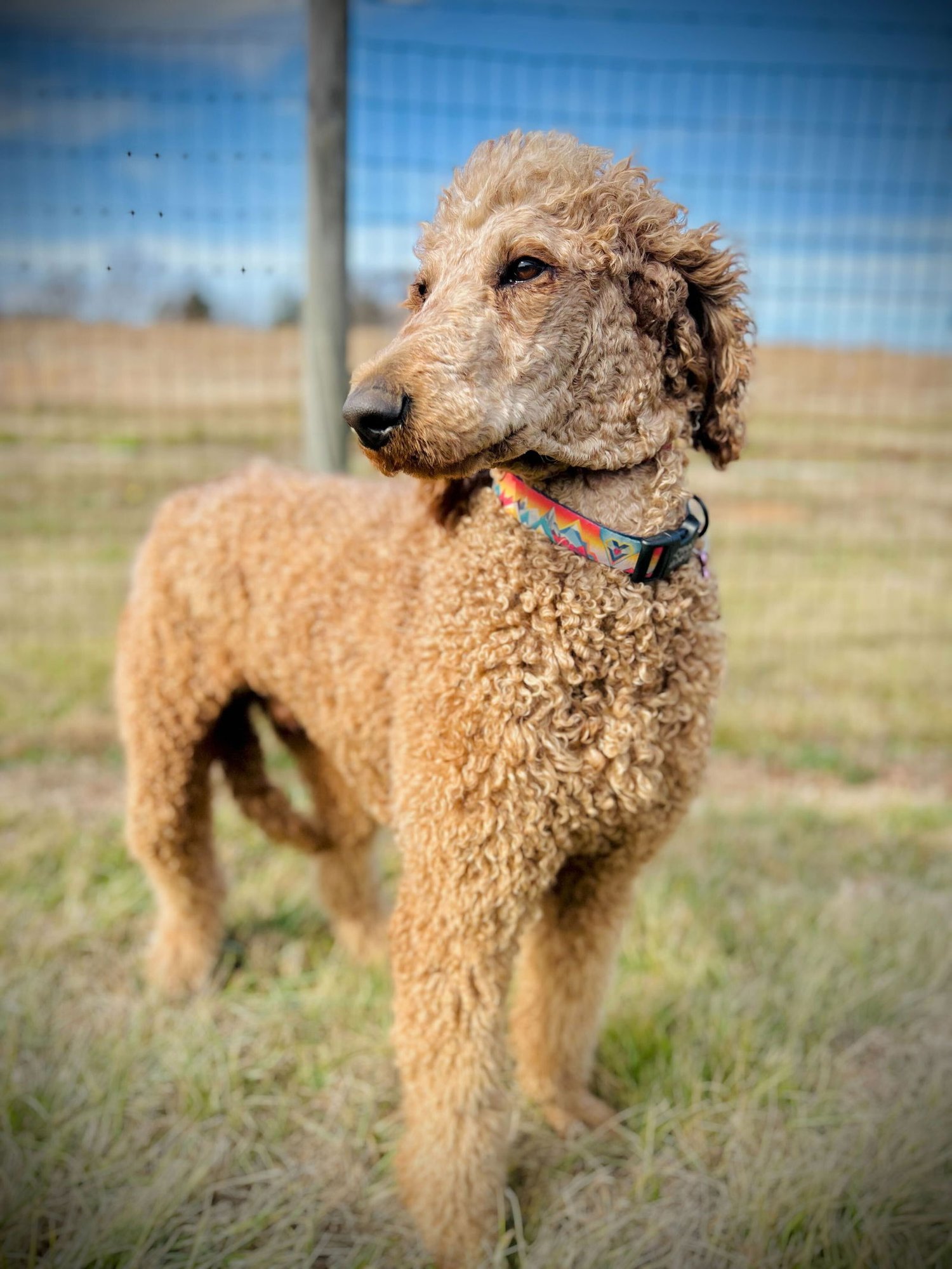 Jackson Dec 25 - Photo 3