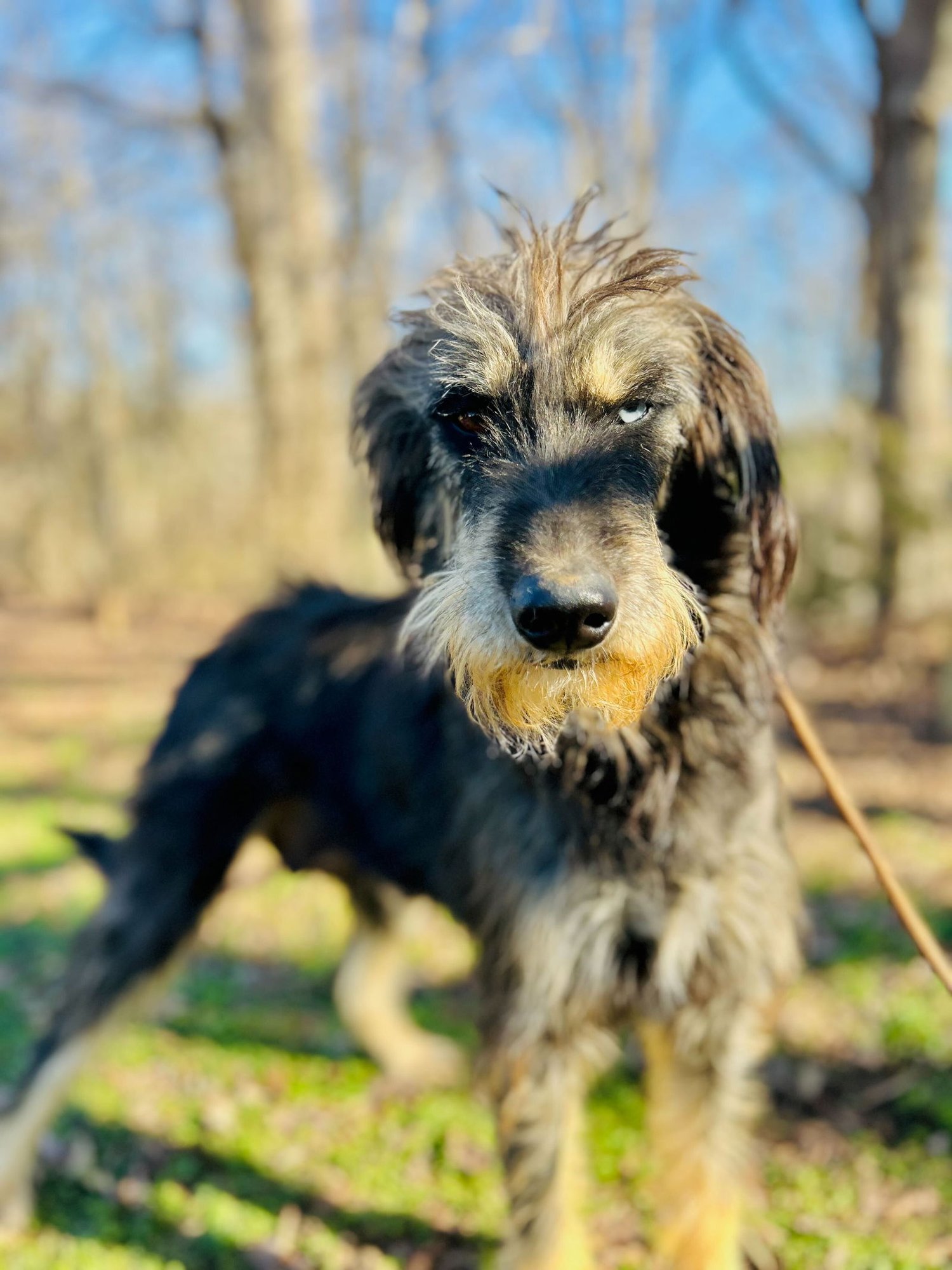 Zaire Oct 25 - Photo 4