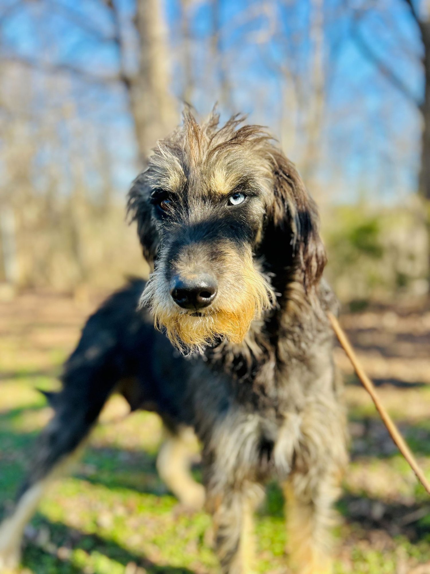 Zaire Oct 25 - Photo 5