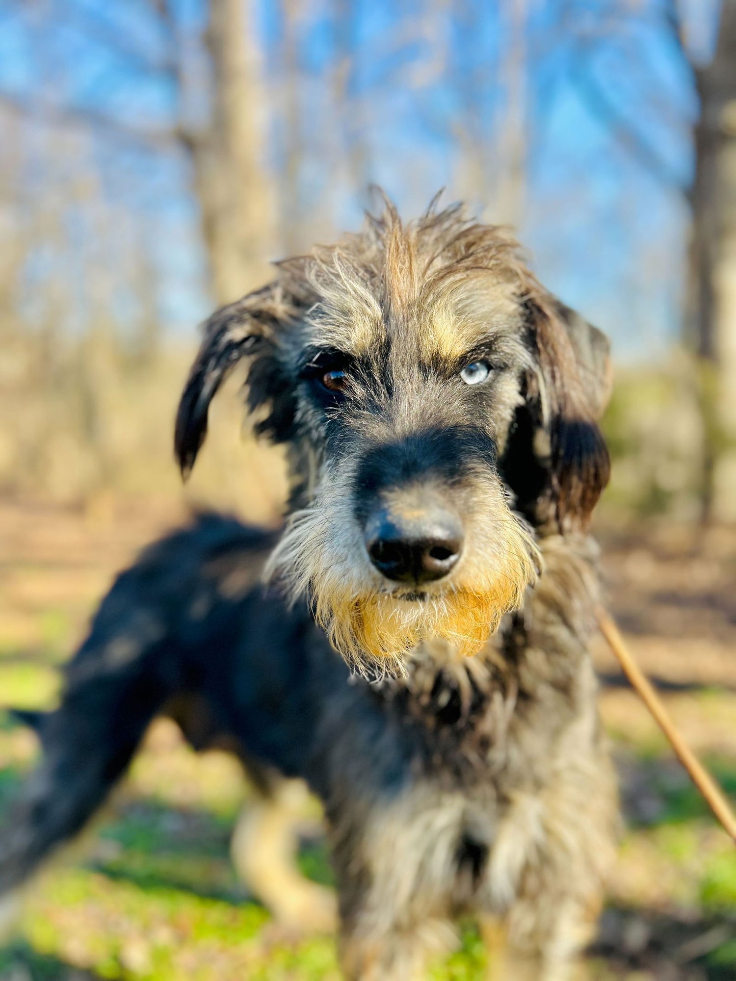 Zaire Oct 25 - Photo 6