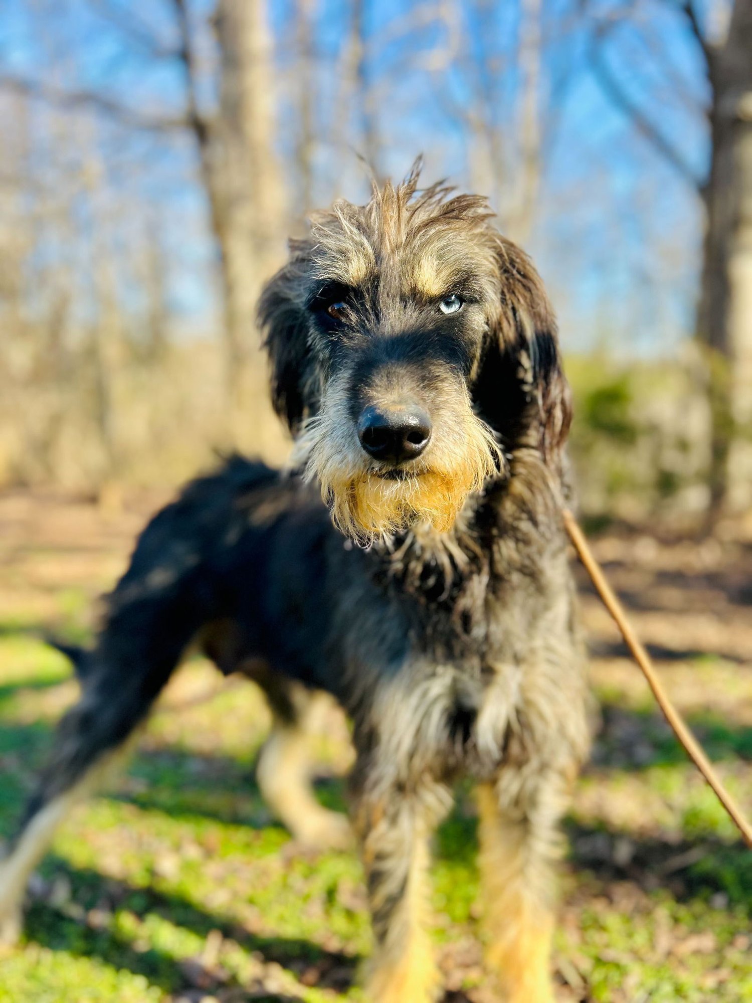 Zaire Oct 25 - Photo 7