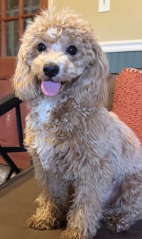 Lala Jan 26 - Photo 2