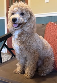 Lala Jan 26 - Photo 3