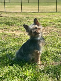 Chillie Mar 26 - Photo 3