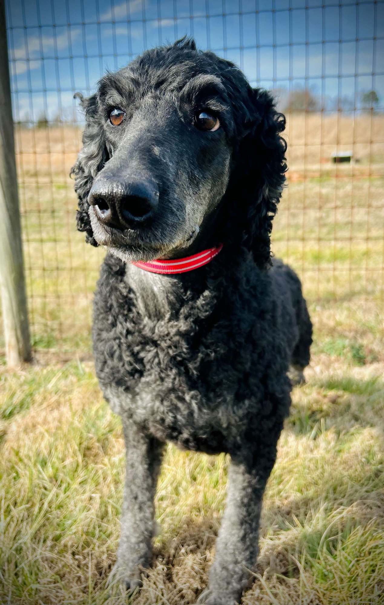 Rumor Oakes Dec 25 - Photo 3