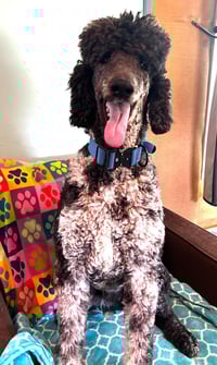 Magnus Feb 26 - Photo 11