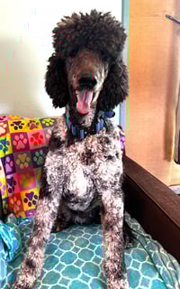 Magnus Feb 26 - Photo 12