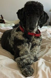 Magnus Feb 26 - Photo 13