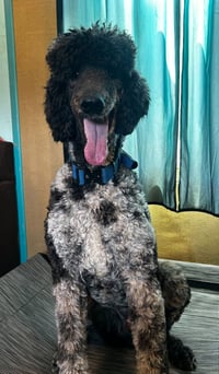 Magnus Feb 26 - Photo 4