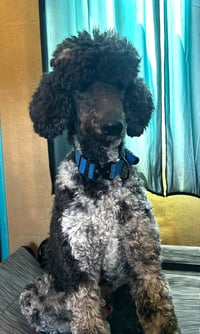 Magnus Feb 26 - Photo 5