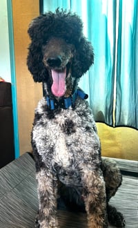 Magnus Feb 26 - Photo 6