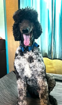 Magnus Feb 26 - Photo 7