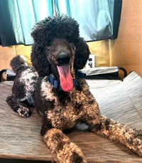 Magnus Feb 26 - Photo 8