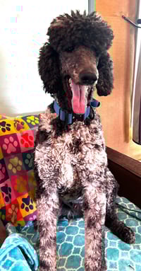 Magnus Feb 26 - Photo 9