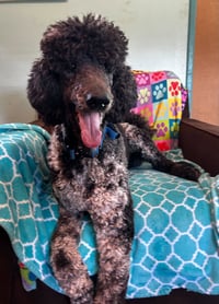 Magnus Feb 26 - Photo 10