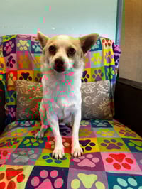 Mickie Mar 25 - Photo 1