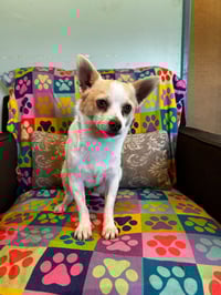 Mickie Mar 25 - Photo 3