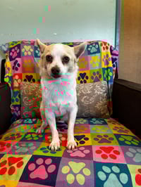 Mickie Mar 25 - Photo 4