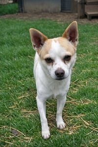 Mickie Mar 25 - Photo 5