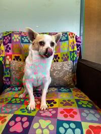 Mickie Mar 25 - Photo 6