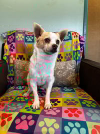 Mickie Mar 25 - Photo 8