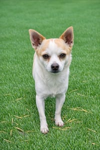 Mickie Mar 25 - Photo 9