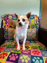 Mickie Mar 25 - Photo 10