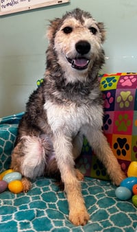 Kera Mar 26 - Photo 3